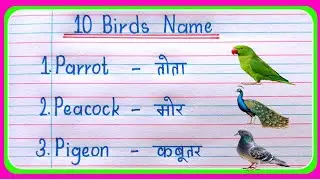 10 Birds Name in English and Hindi | Birds Name | Birds Name in English | 10 Birds Name | Birds Name