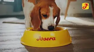 &Eta; &pi;&iota;&omicron; &nu;ό&sigma;&tau;&iota;&mu;&eta; &sigma;&kappa;&upsilon;&lambda;&omicron;&tau;&rho;&omicron;&phi;ή  | Josera Petfood