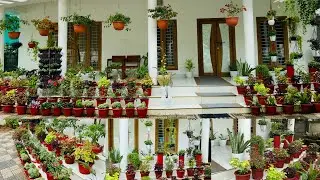 Sitout arrangements of plants