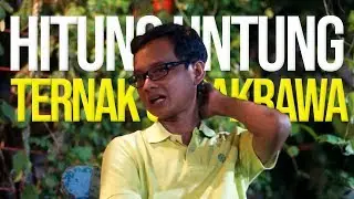 Ternak Cucakrawa#4👍👍Dalam Hitungan Bulan Anak Muda Ini UNTUNG Ternak CucakRawa