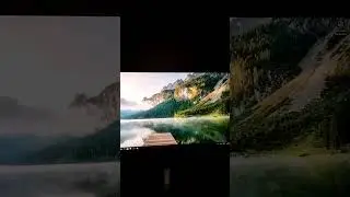 Bryan Andre's song Nikaui