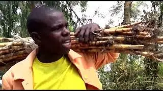 HUJAWAHI ONA HII MIWA. NATO COMEDY