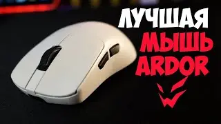 ARDOR ALPHA - ТОПОВАЯ МЫШЬ НА ТОПОВОМ СЕНСОРЕ ИЗ DNS
