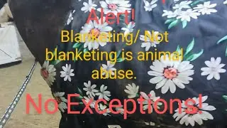 Controversial Topic Alert! To blanket or not to blanket? TV format @CrystalDaggerHorsemanship