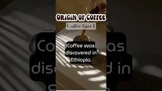 Coffee Origin #coffee #coffeefacts #coffemusic #coffeelover