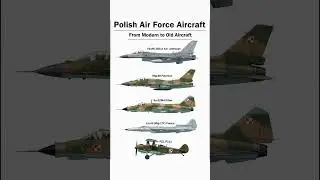 Poland's Air Force Evolution 📊 #army #military #soldier #war #combat #militarylife