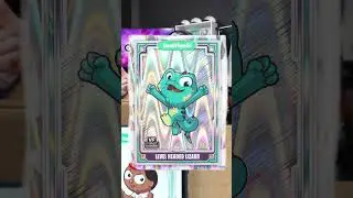 Every Card Variant in Topps VeeFriends Chrome