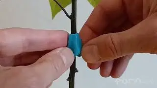 Fix a broken chili plant with FORMcard