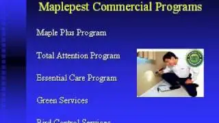 Maplepest - Pest Extermination in Toronto(GTA) - (416) -520-8575