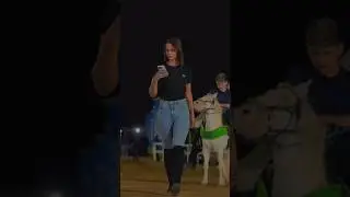 #vaquejada #playvaquejada #cavalos #cavalo