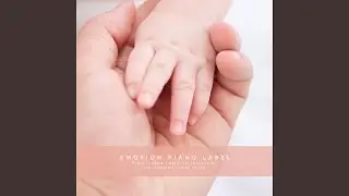 I want to fly