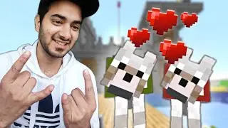 My Dogs are Back!!! - Minecraft Himlands S2 - part 18
