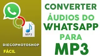 Passar &Aacute;udios do Whatsapp para pen drive - OPUS para MP3