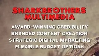 Shark Brothers Multimedia, Award-Winning Content Creation & Digital Marketing Agency