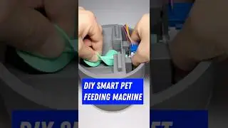 WiFi connected 3D Printed Smart Pet Feeding Machine for your Favourite Animals #arduino #electronics