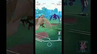 ✨️Shiny Corviknight VS Corviknight PVP Battle in Pok&eacute;mon GO