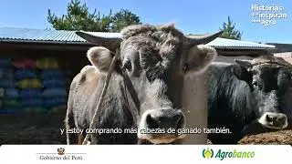 Historias que inspiran en el agro | pequeño productor pecuario de Ilave (Puno)