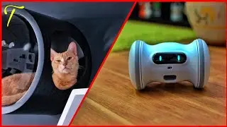 Amazing Pet Toys & Gadgets That Are On Another Level