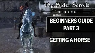 ESO Beginners Guide to Success Part 3 Getting a Horse in The Elder Scrolls Online