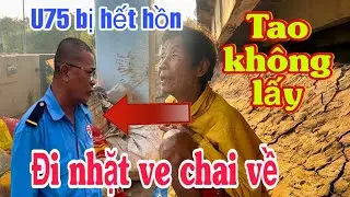 Cú Troll Đi Vào Lòng Đất: Cô Tư U75 Luống Cuống Giấu Ve Chai, Quyết Ra Thanh Minh#u75