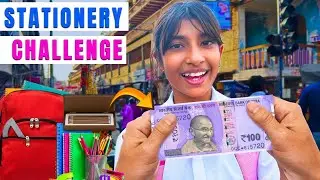 Stationery Shopping Challenge in Only 100 Rupees | Shanvi All Star
