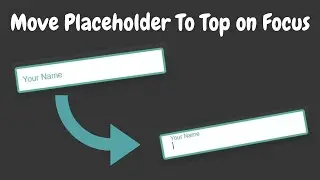 Move Placeholder To Top on Focus And While Typing |  Pure CSS