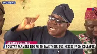 Poultry Farmers Beg Federal Govt To Save Their Businesses From Collapse