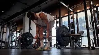 Bent Over Barbell Row - Bicep Curl Bias