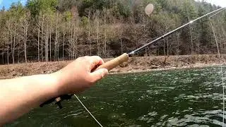 Early spring rainbows on Pine and Larry's creek