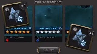DOUBLE 6 STAR NEXUS CRYSTALS