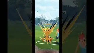Zekrom VS Buzzwole Leads in Master League - Pokemon GO