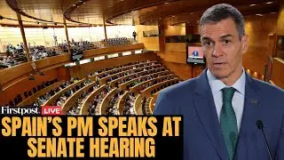 LIVE: Spain&rsquo;s PM Pedro Sanchez Speaks at Senate Committee on Corruption Case | N18G