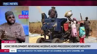 Michael Adeoluwa Breaks Down Nigeria's Agro-Processing Export Industry