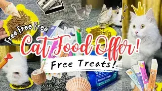 FREE Treats With Imported Cat Food | Chicken & Beef Flavor Honest Review | Real Cat Reaction