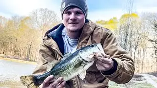 Googan rattlin chunk came in clutch on this farm pond! 🎣