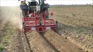 Apolcadora de patatas Forigo P35/2X75 | AgroAnuncios.es