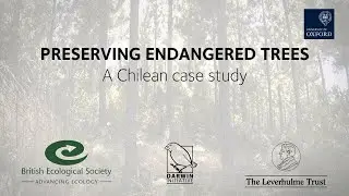 Preserving Endangered Trees: A Chilean case study