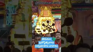 tirumala brahmotsavam || sarvabhoopala vahanam || journalist varma