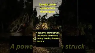 Deadly Bomb Cyclone Strikes Washington State: Major Damage & Power Outages.   #news #storm #cyclone