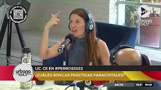 Lic. Cecilia Ce: &iquest;Qu&eacute; es la pre-orgasmia? | Dificultades para llegar al orgasmo #Perros2022