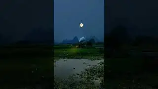 Beautifull mountain frog 🐸 | Beautifull view | swe&eacute;t night | mountain view point music