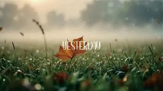 Nature Guitar Vibes for Total Mental Relief 💆 | Focus Music to Stay Calm and Productive