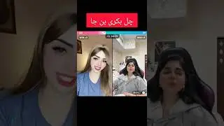 Kaniaat  TitTokkStudio live😂🤪 #TikTokk Studio #TikTok Video TikTok Viral