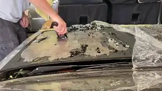 Stripping the paint from a Delorean
