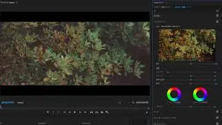 Premiere Pro LUTS Preview