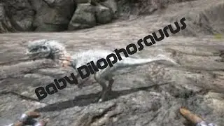 Hatching Baby Dilophosaurus -  Ark Survival Evolved