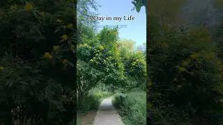 A Day in my Life - Phd Scholar JNU #adayinmylife #jnu #jnucampus #phd #phdlife #food #trending