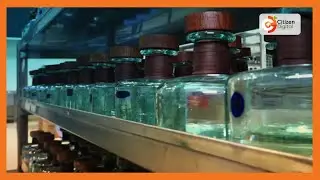 Made in Kenya | Nairobi distillers making Gin from African Juniper