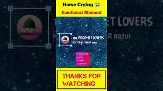 Horse Crying Emotional Moment #shorts