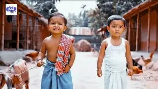 বিশ্ব সেরা মজার ফানি ভিডিও #funny #foryou #comedy #cute #comedyvideos #cutebaby